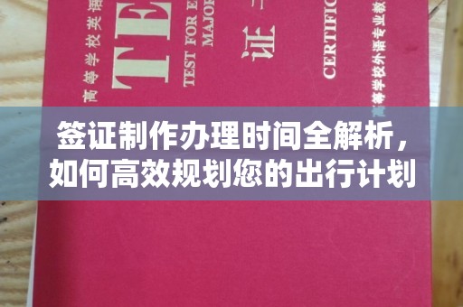 镇巴签证制作办理时间全解析，如何高效规划您的出行计划